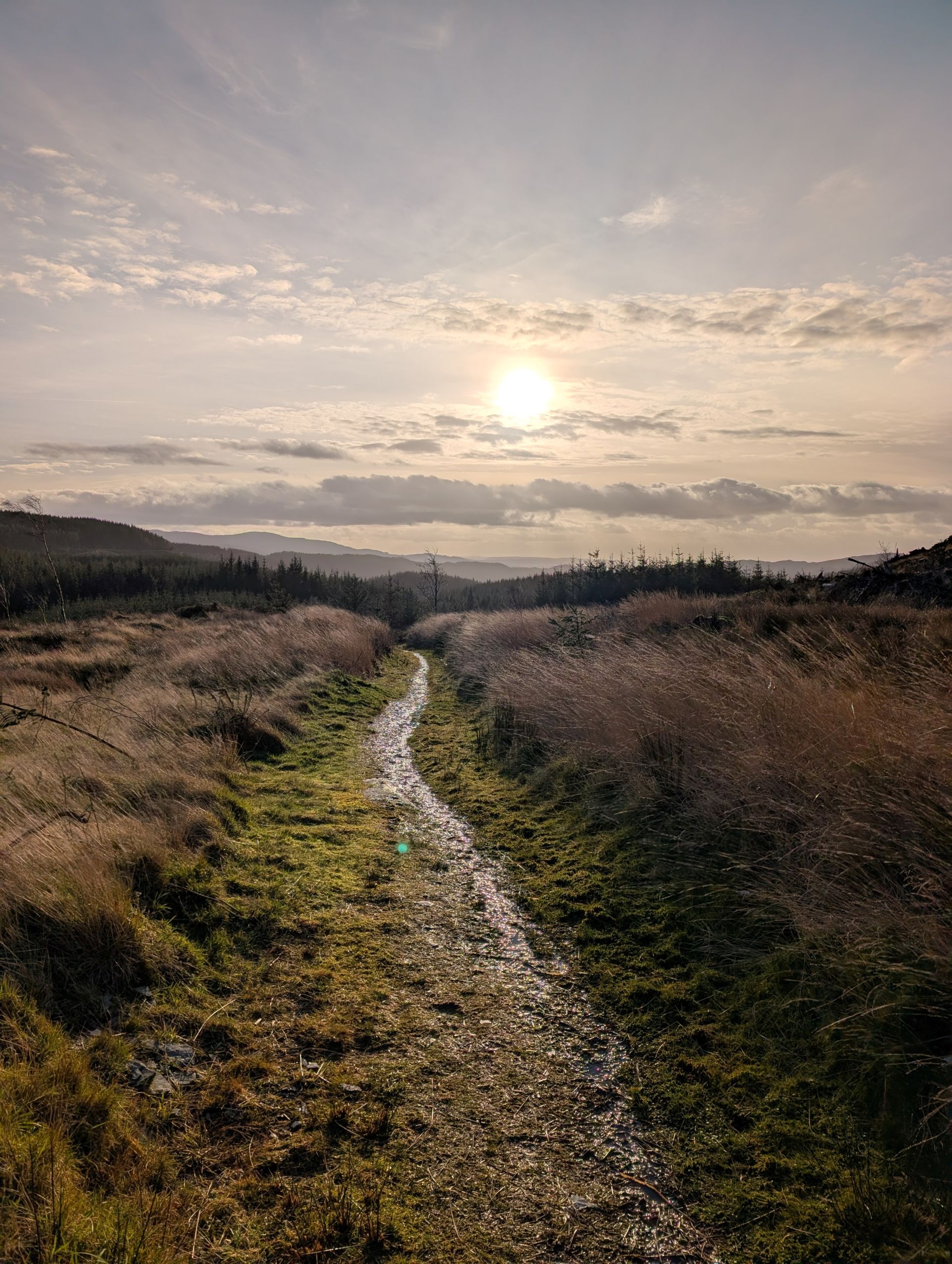 Track in winter sunshine